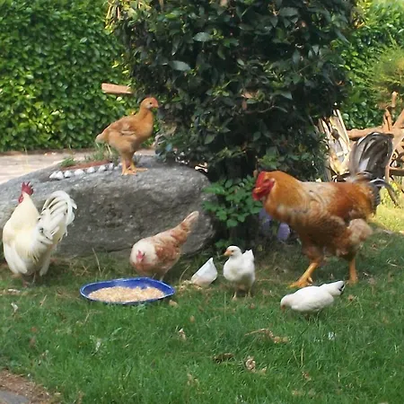 B&B Agrifarm *