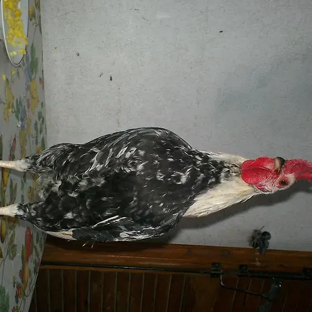 B&B Agrifarm Calolziocorte