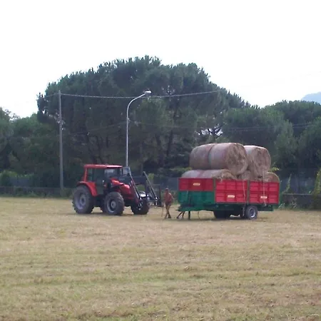 Oda ve Kahvaltı Agrifarm *