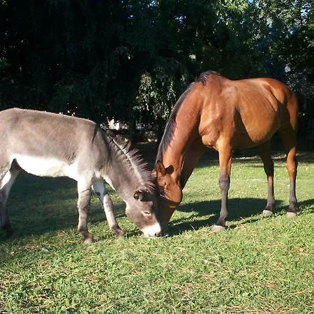 Agrifarm Calolziocorte